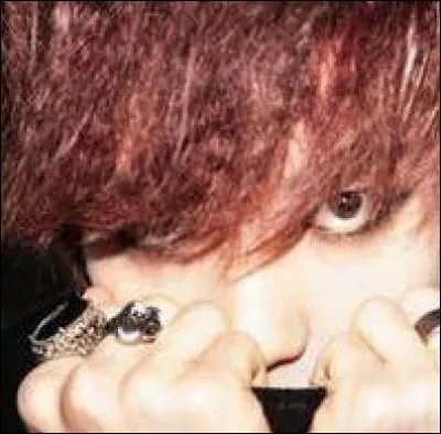 Quels sont les chanteurs ?