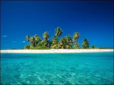 Quel habitat préfères-tu ?