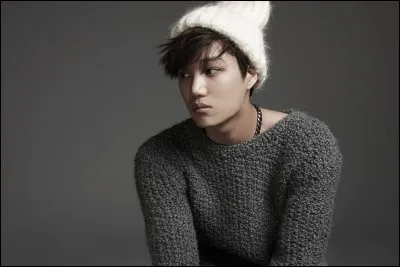 Mon vrai nom est Wu Yi Fan :