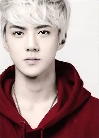 Mon vrai nom est Do Kyungsoo :