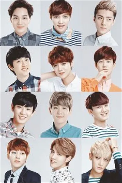 Je suis le Kung Fu Panda d'Exo :