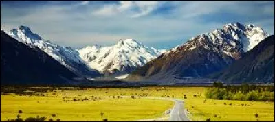 Combien y a-t-il d'étoiles sur le drapeau de la Nouvelle-Zélande ?