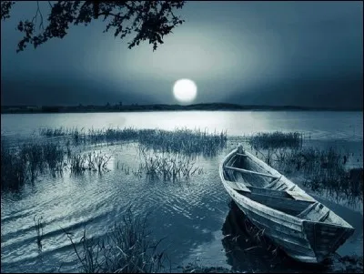 Magnifique paysage !