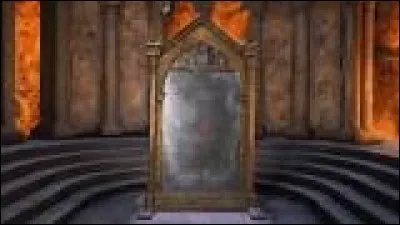 Que voit Harry quand il se regarde dans le miroir du Riséd ?