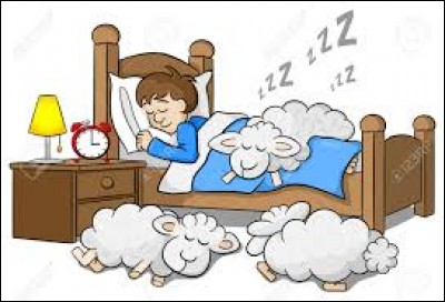 Que se passe-t-il quand nous dormons ? Quels sont les 4 cycles de sommeil ?