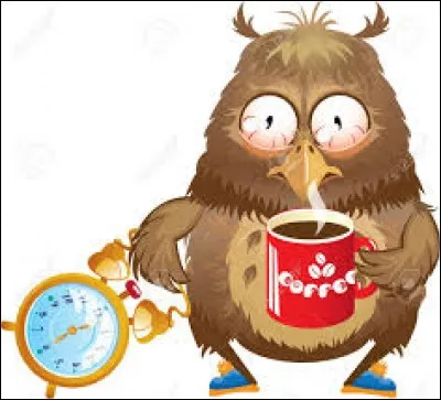 Pourquoi ne retenons-nous jamais le moment où nous nous sommes endormis ?