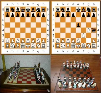 Si vous désirez jouer aux échecs, je ne vous souhaite pas de perdre votre partie en ayant subi le « coup du lion » !
Comment avez-vous perdu ?