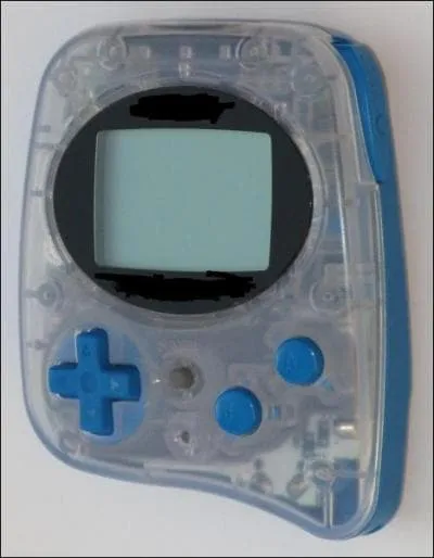 Comment s'appelle cette console ?