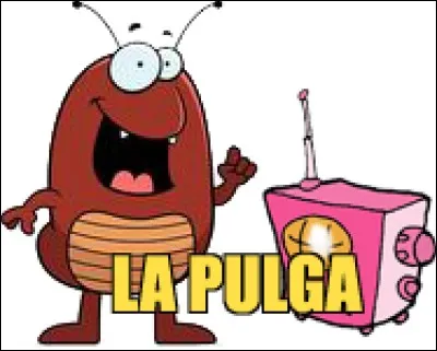 Qui est surnommé "La Pulga" ?