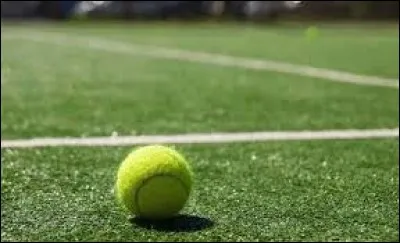 Quel est le seul tournoi du Grand Chelem sur gazon ?