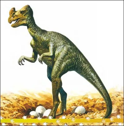 Quelle est la spécificité de l'ankylosaure ?