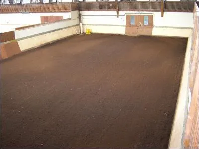 Quel est le dterminant numral? Pendant prs d'une heure, mon frre et l'animal firent connaissance tout en lonngeant le ct du mange.