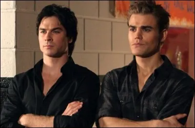Qui sont Damon et Stefan ?