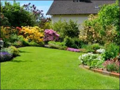 Vous êtes dans votre jardin en train de faire du "mulching".
A quelle action correspond ce terme anglais ?