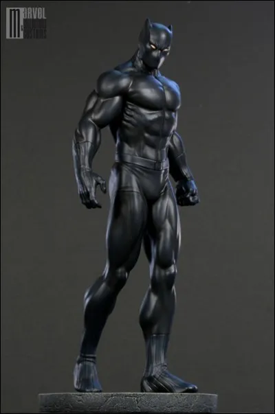 Quel est le vrai nom de la panthère noire ?