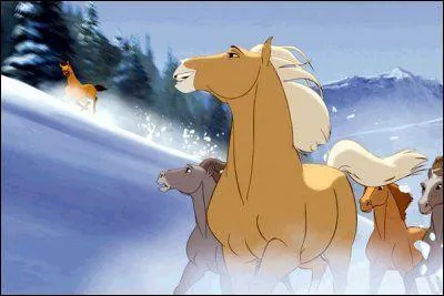 Qui est cette jument ?