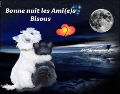 Puisque tu te couches, je te dis "bonne nuit" ! Fais de beaux rêves.