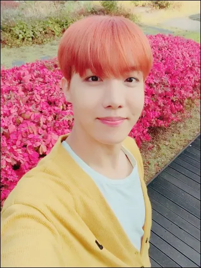 Grâce à quoi J-Hope est-il devenu plus populaire en 2016 ?