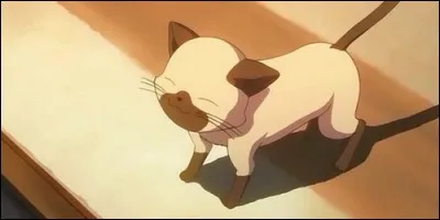 Quel est le nom de ce chat siamois que Nayuki recueille dans "Kanon" ?