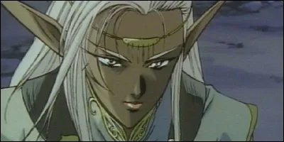 Dans "Les Chroniques de la guerre de Lodoss", comment se nomme cette elfe ?