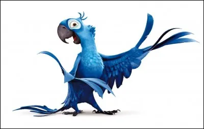 Dans "Rio", comment l'oiseau bleu se nomme-t-il ?