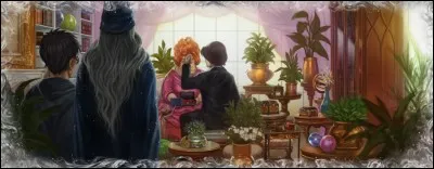 Comment s'appelle la sorcière chez qui Voldemort se rend dans sa jeunesse, qui lui montre la coupe de Poufsouffle et le médaillon de Serpentard ?