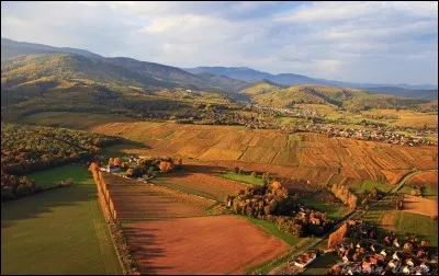 Autre route touristique célèbre de France : la Route des Vins. Elle traverse par exemple la ville d'Obernai et le village de Saint-Hippolyte. Dans quelle ancienne région française se situe-t-elle ?