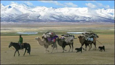 Les villes de Boukhara et Samarcande constituaient d'importantes étapes sur la route de la Soie. Dans quel pays actuel ces villes se situent-elles ?