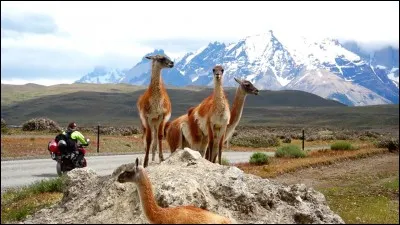 La route panaméricaine traverse tout le continent américain du nord de l'Alaska à Ushuaia en Patagonie argentine, au sud. Elle ne s'interrompt que sur un tronçon de 60 kilomètres à la frontière de deux pays. Lesquels ?