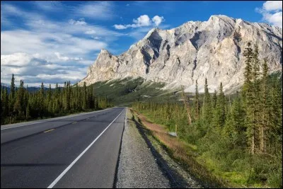 La Dalton Highway est une route très importante des États-Unis pour des raisons économiques. Qu'a-t-elle en effet pour fonction de desservir ?