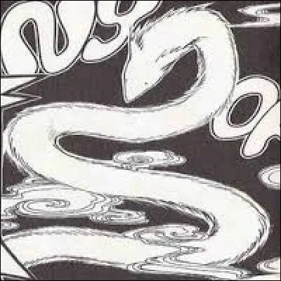 Avec qui était le renard en tube avant d'appartenir à Watanuki ?