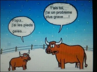 Trouvez le compositeur-interprète de "Chansons pour les pieds" !