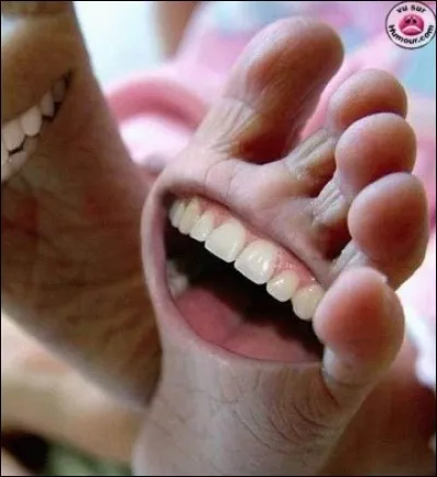 Quels acteurs apparaissent dans le film "La Comtesse aux Pieds Nus" ?