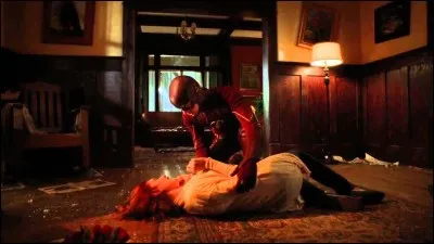 Combien y a-t-il de Barry lorsque il sauve sa mère ? (s2, ép23)
(en comptant celui derrière la porte avant qu'il ne disparaisse)