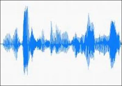 Qu'est-ce qu'un filet de voix ?