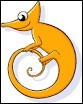 Quiz Site internet