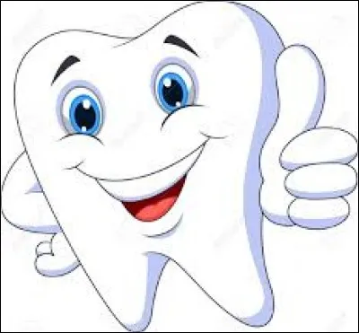 Comment s'appelle la partie externe de la couronne des dents ?