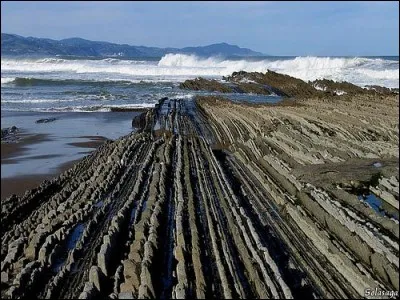 Le « Flysch de Zumaia » est l'un des sites géologiques des plus importants de la côte du Pays Basque et de tout le littoral Cantabrique. Qu'entend-on par « Flyshs » ?