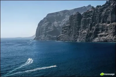 Les falaises des Géants sont un ensemble de falaises verticales sur la côte occidentale d'une île espagnole. Laquelle ?