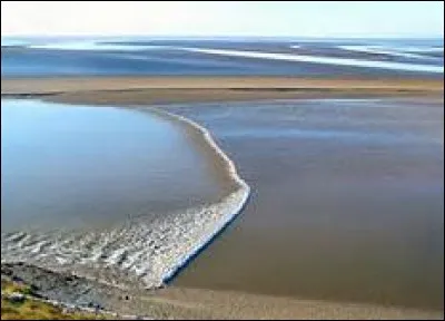 Où trouve-t-on le plus souvent la vague appelée "mascaret" ?