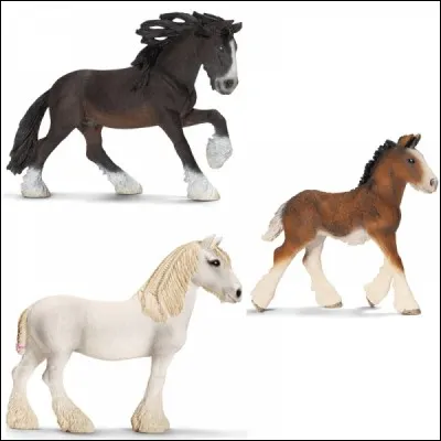 Quelle est cette famille de chevaux ?