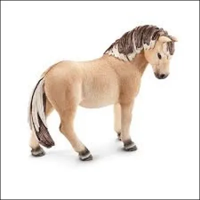 Quelle est cette ponette schleich ?