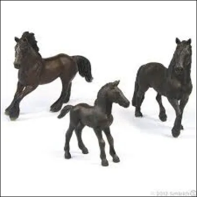 Quelle est cette famille ?