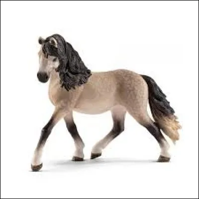 Quelle est la race de cette jument ?