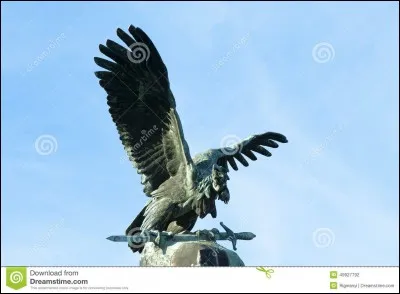 Quel est cet oiseau, très important dans le mythe de l'origine des Magyars ?