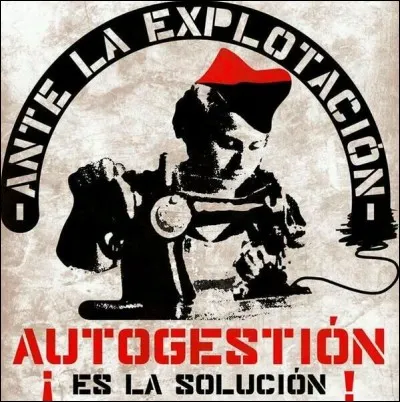 Lequel de ces outils organisationnel, le mouvement anarchiste ne revendique-t-il pas ?