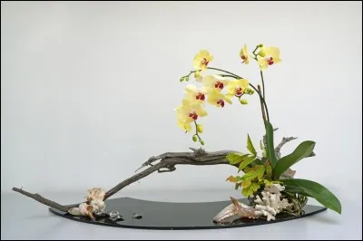 Que signifie le mot "ikebana" ?