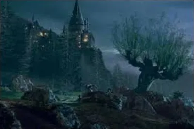 Dans le film 2, Harry et Ron rencontrent un...