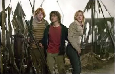 Dans le film 4, le soir du match des gens méchants attaquent la foule ; lesquels ?