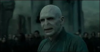 Dans le 7ème film, Harry Potter, à la fin (le soir) détient dans la main quelque chose ; quoi ?